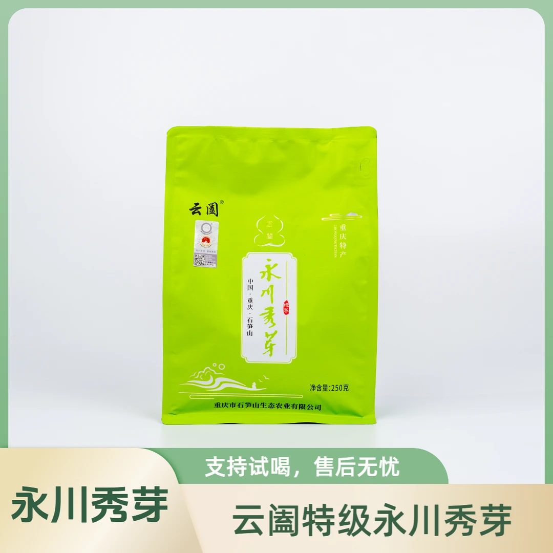 云阖永川秀芽2025年新茶特级茶叶高山绿茶手工绿茶250g袋装茶叶