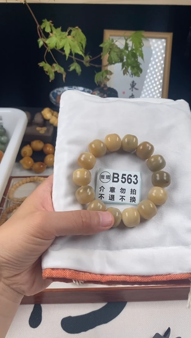 菩提根/象牙果手串手工干磨小桶珠17mm563
