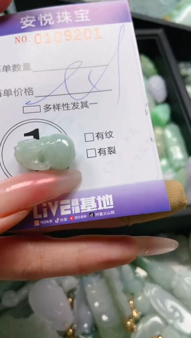 【闪购商品】翡翠颈饰未镶嵌闪购0109201