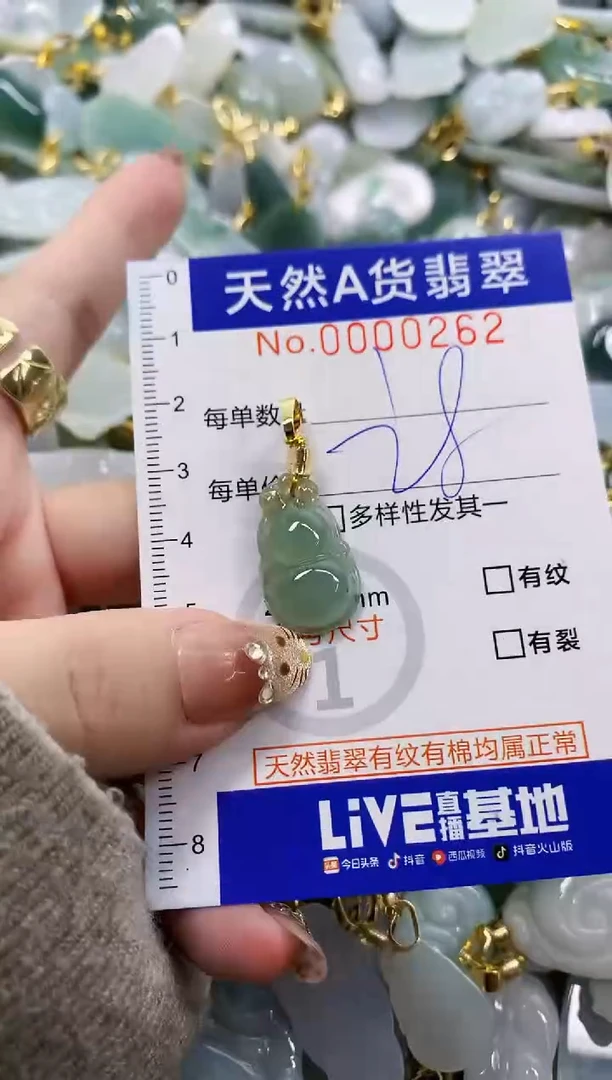 颈饰未镶嵌翡翠天然A货翡翠