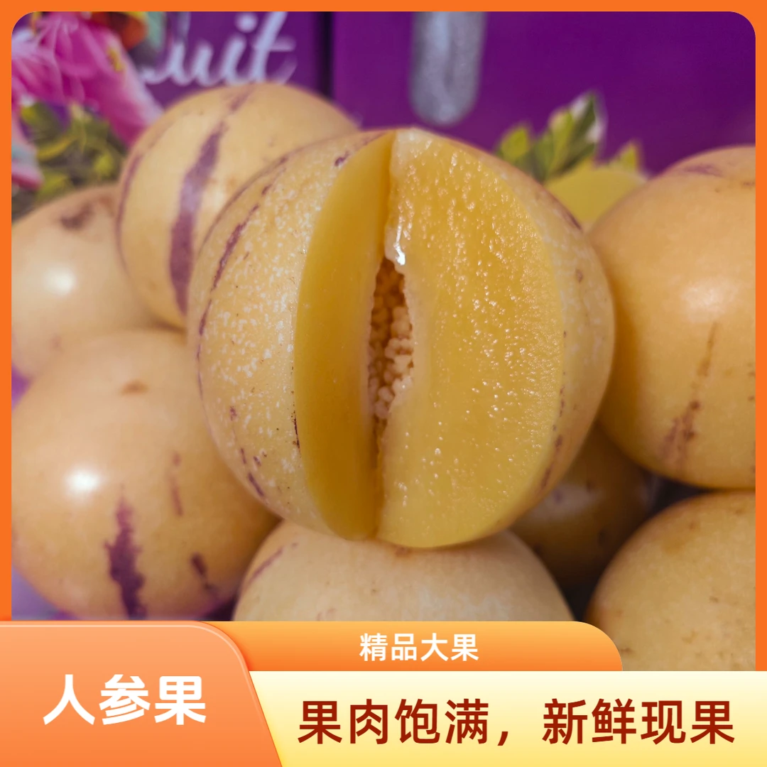 云南石林和甘肃民勤果树上熟黄肉圆果清甜水果人参果多汁特大包邮