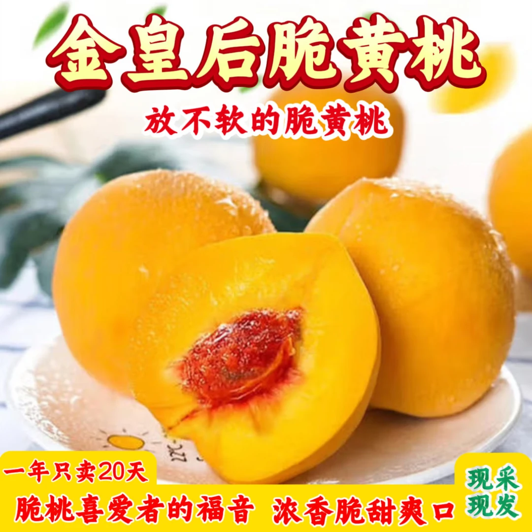 【坏果包赔】甄汇优 d放不软的黄桃山东金皇后脆黄桃脆甜爽口营养