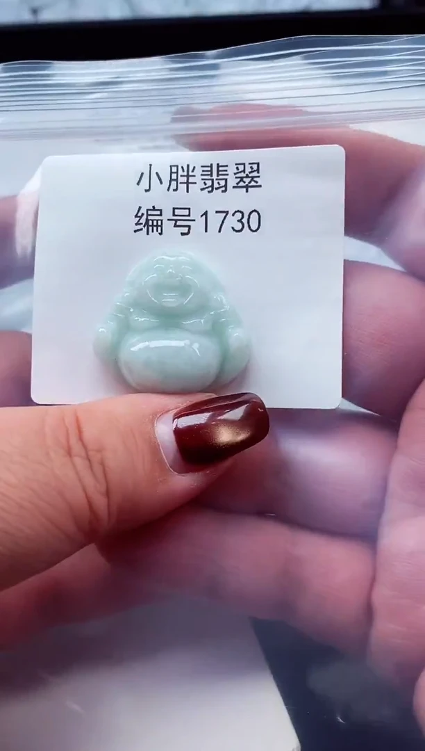 颈饰未镶嵌翡翠缅甸天然A货翡翠1730