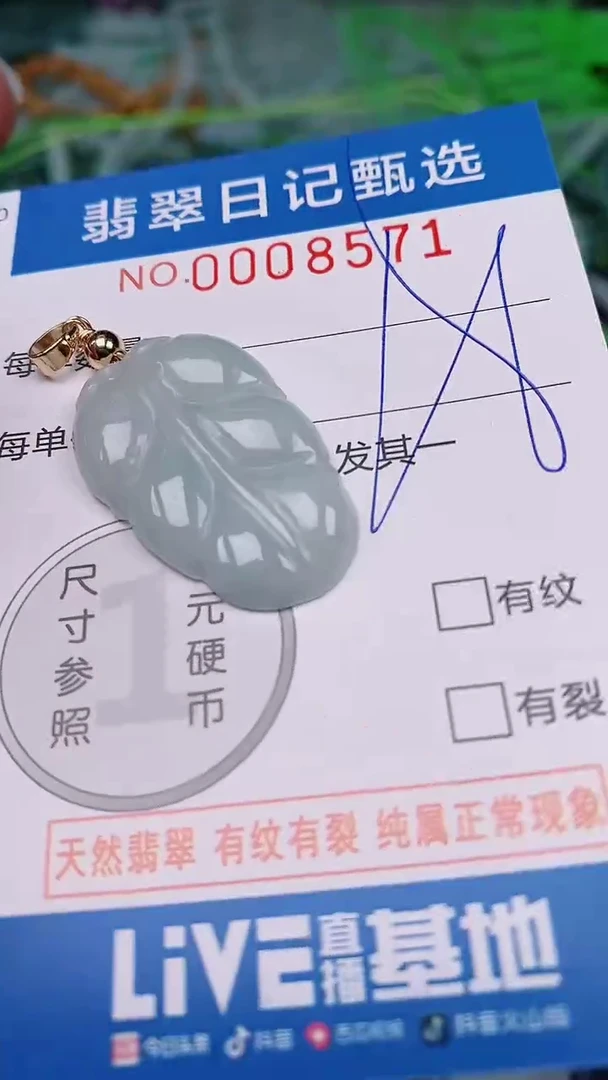 【闪购商品】翡翠颈饰未镶嵌00008571