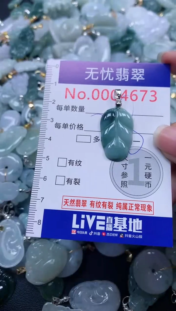 颈饰未镶嵌翡翠4673