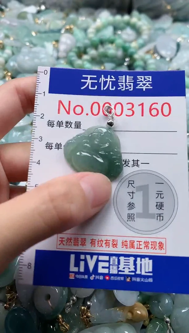 翡翠未镶嵌吊坠(不含链)3160