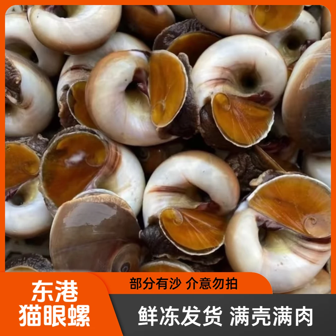 【东港猫眼螺】小船冷水自然吐沙大香螺产地熟冻直发满壳满肉