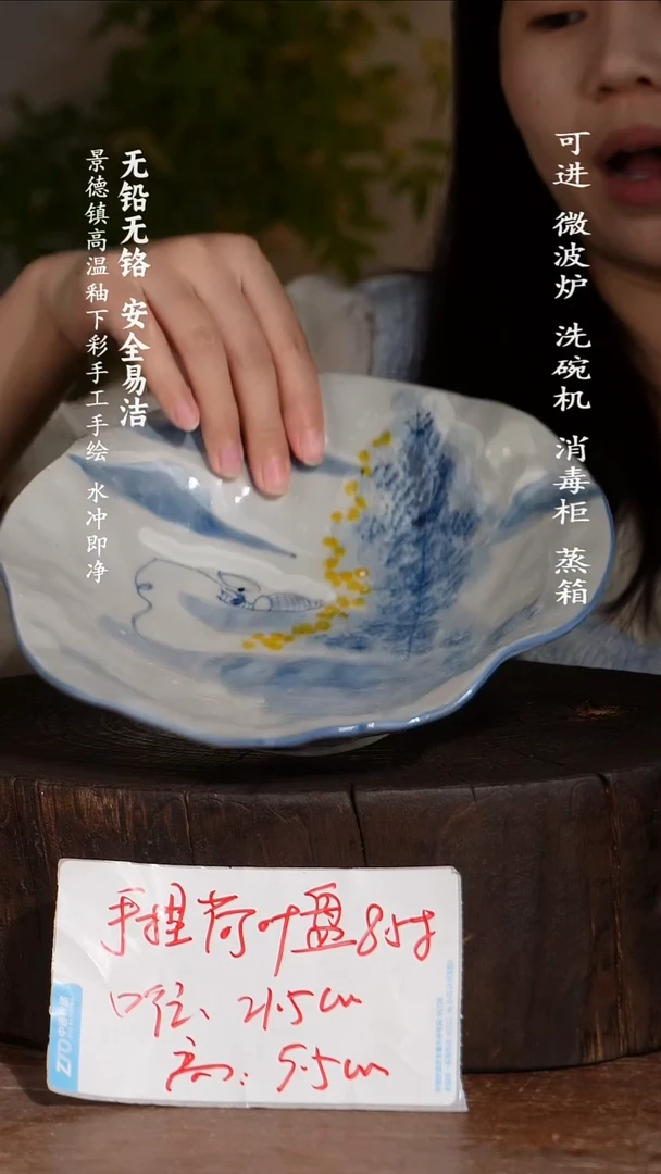 碗陶瓷景德镇高温瓷釉下彩手绘陶瓷