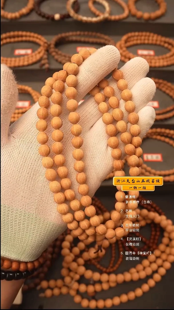 吊坠五线菩提A****oy脖挂