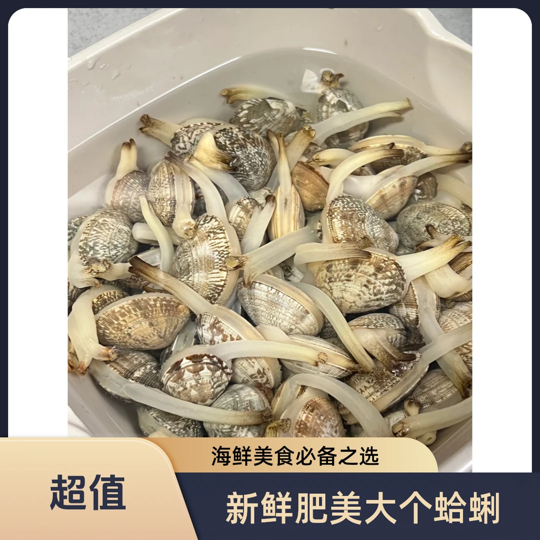 鲜活花甲1000g