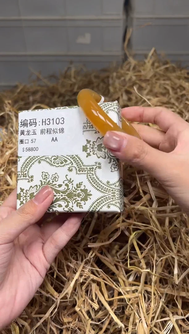 未镶嵌手镯石英质玉H3103