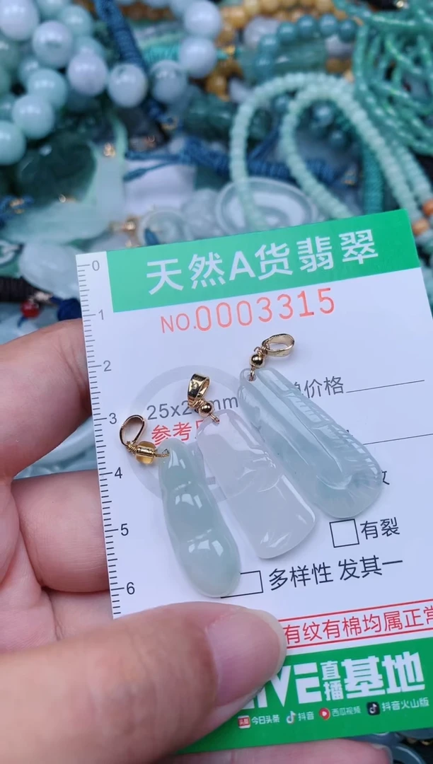 翡翠未镶嵌颈饰.0003315