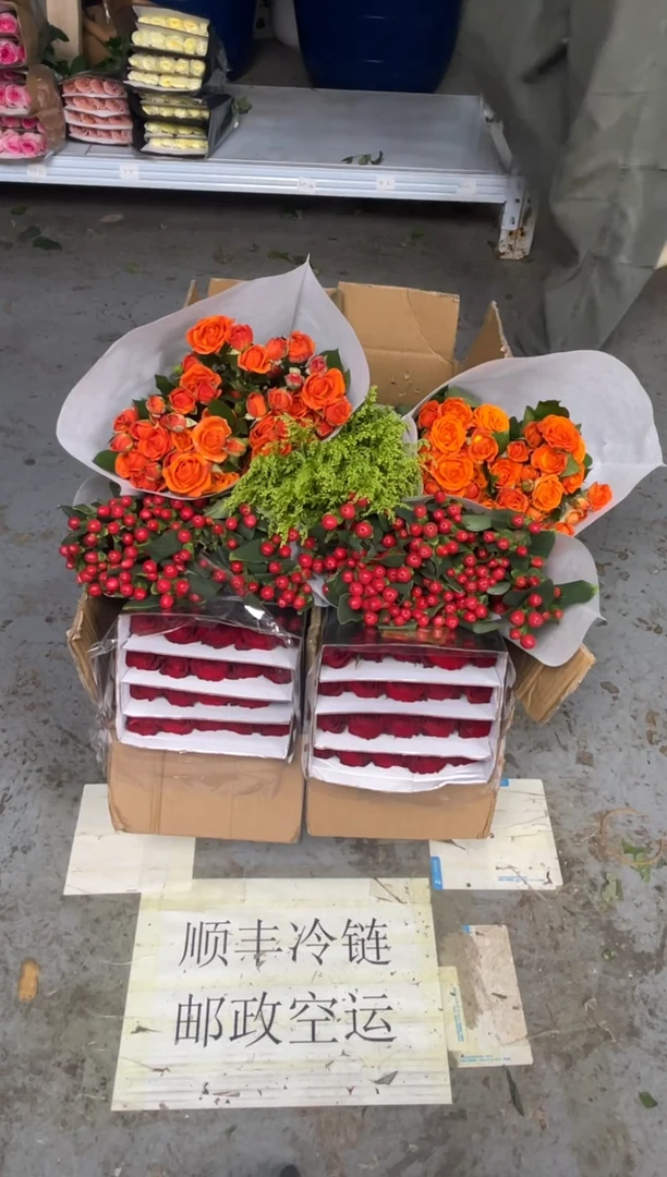 高原红20枝+红豆+橙色芭比10枝+黄莺