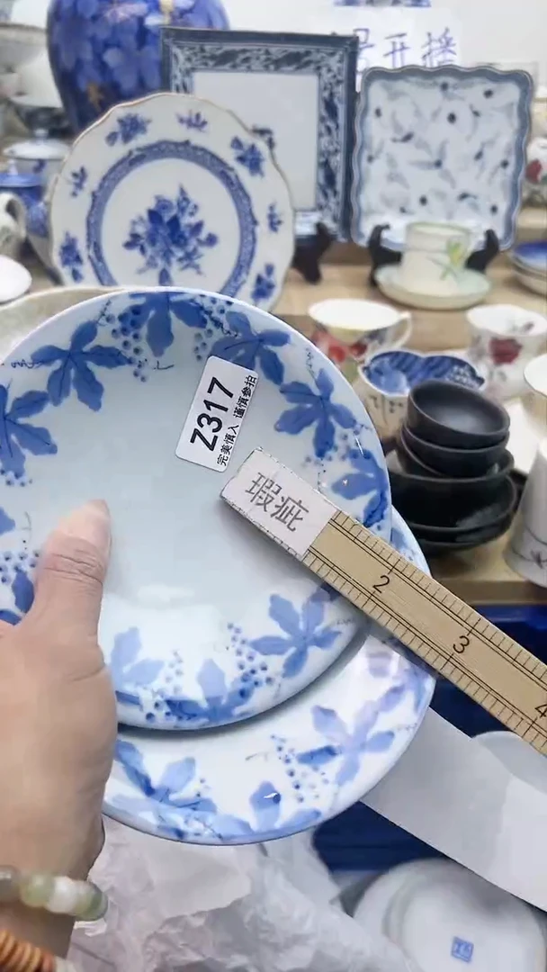 【闪购商品】瓷片317