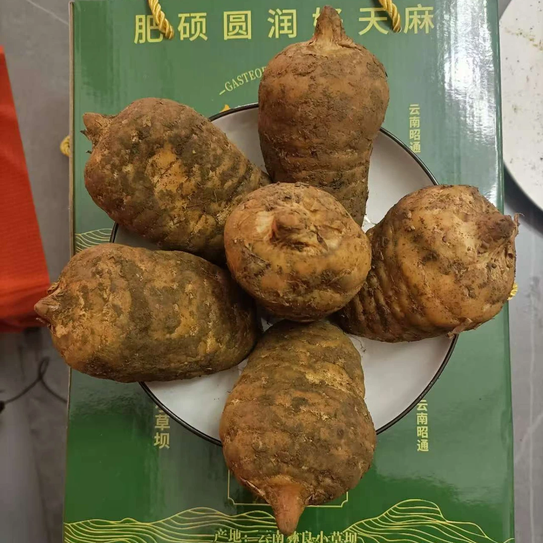 昭通特产彝良天麻大果3个一斤