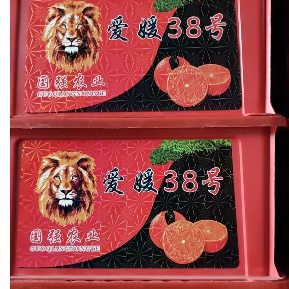 【原箱】[N]国强爱媛果冻橙 箱/6斤左右 太原晋中吕梁忻州可拍