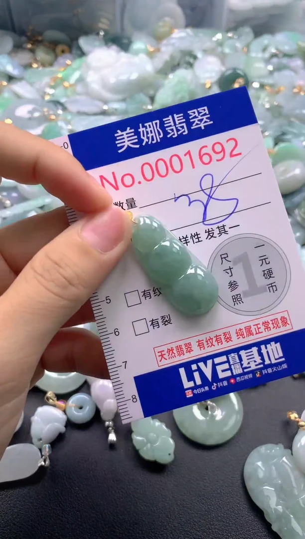 颈饰未镶嵌翡翠1692