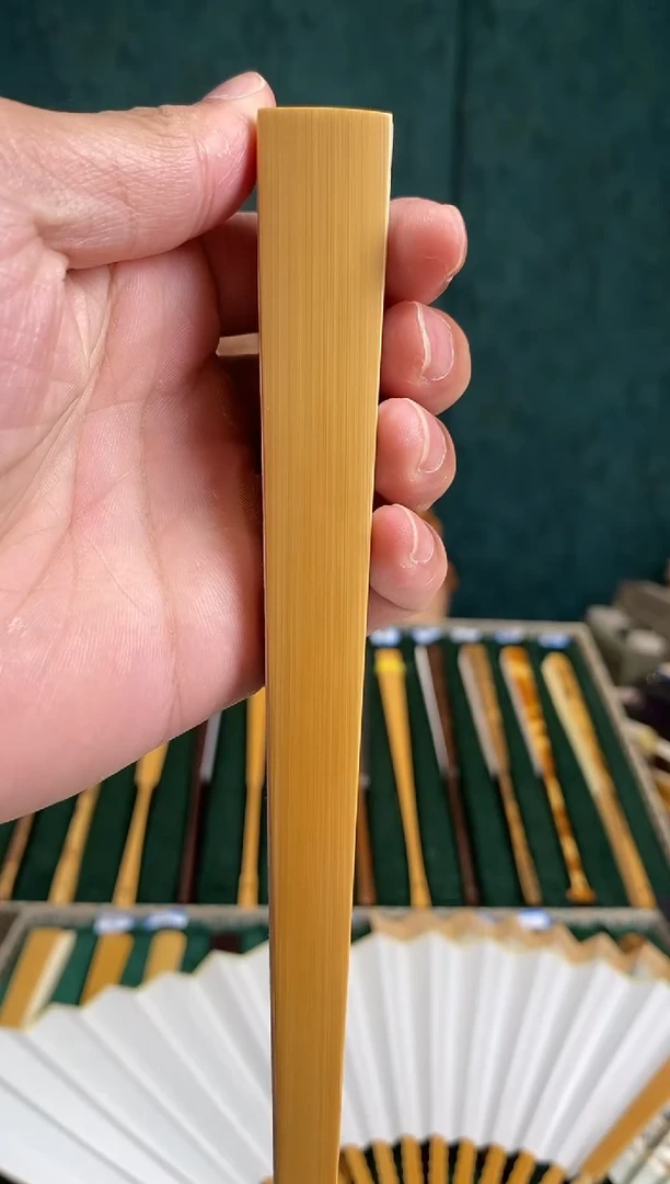 扇子定马牙玉竹马牙玉竹