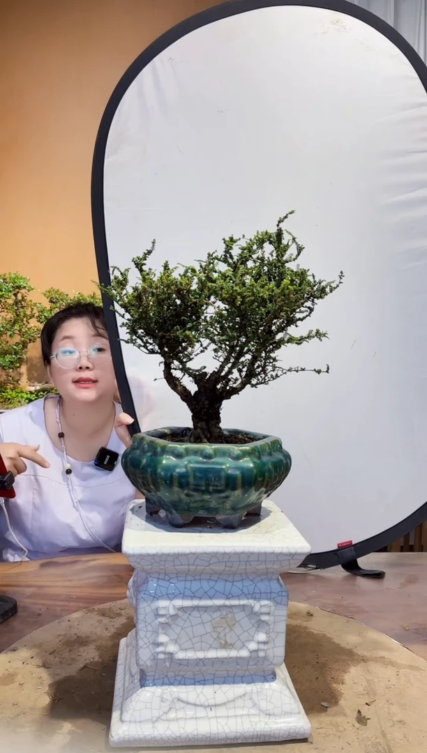 无花朵大*刷