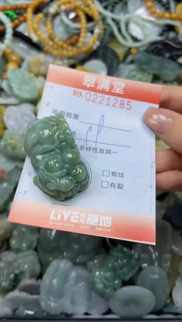 颈饰未镶嵌翡翠闪购0221285