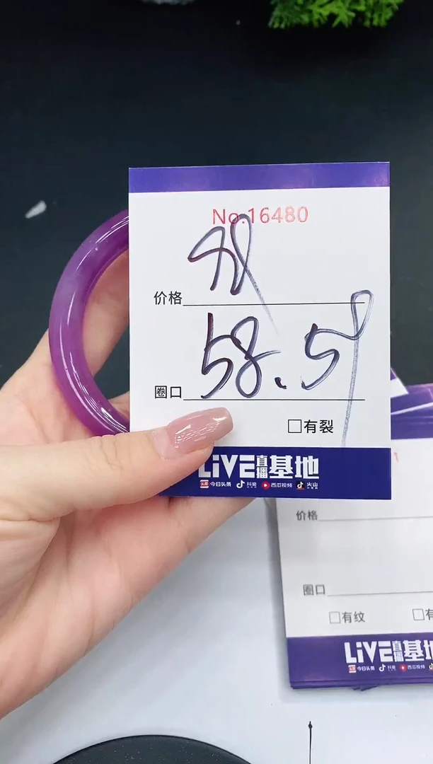 未镶嵌手镯翡翠16480