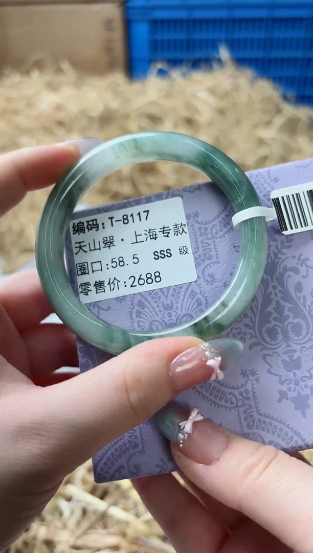 未镶嵌手镯石英质玉T-8117