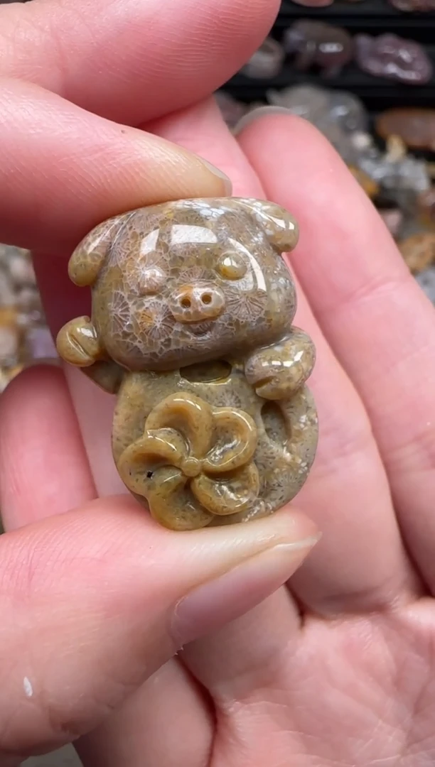 颈饰未镶嵌硅化珊瑚（珊瑚玉）310
