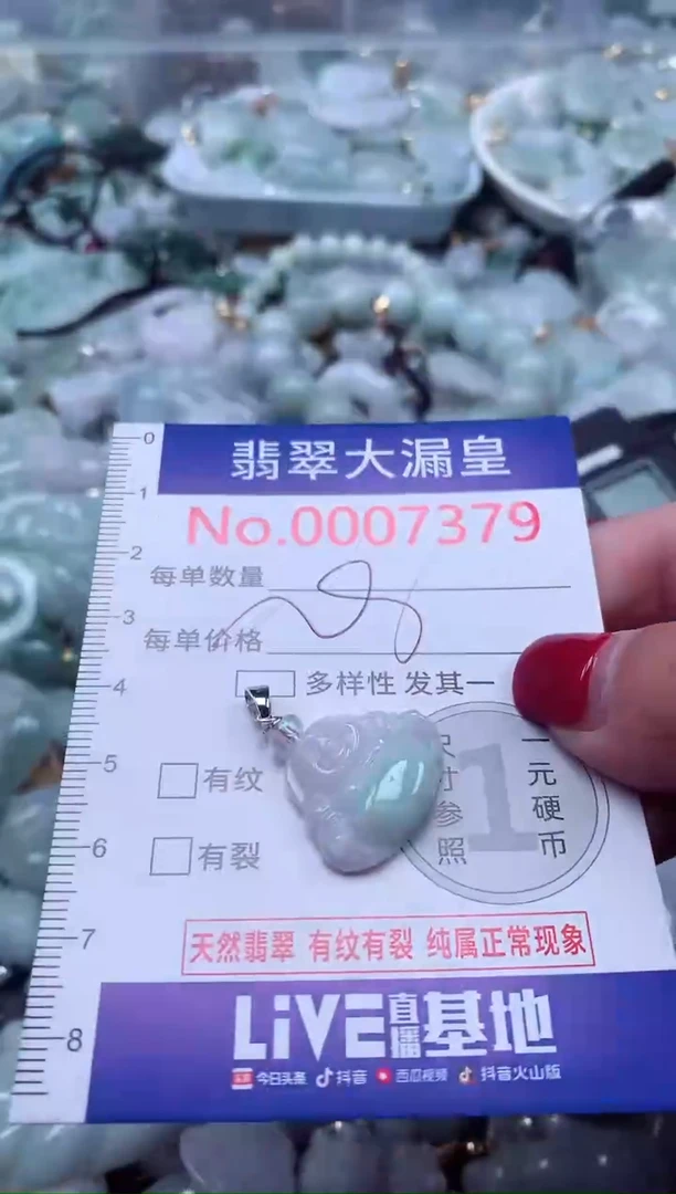 颈饰未镶嵌翡翠7379