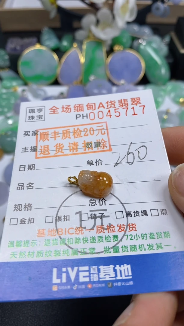 翡翠18K金镶嵌吊坠(不含链)貔貅