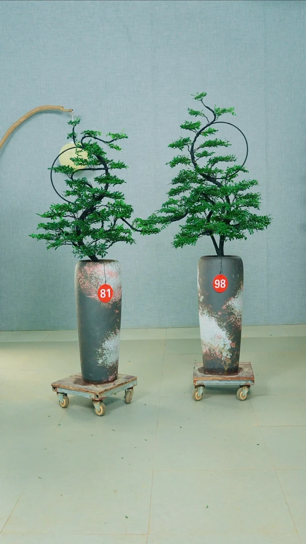 无花朵顶**见广东小叶紫檀