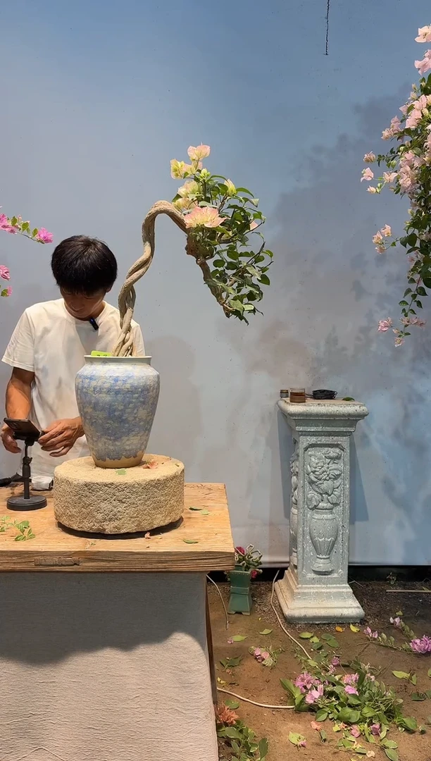 全部花朵宜****林三角梅23