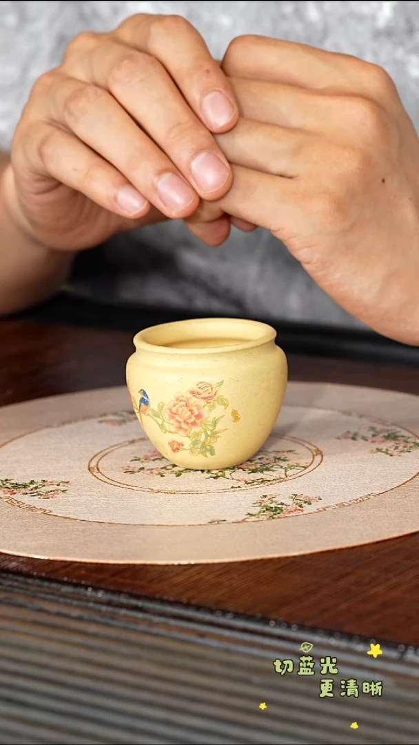 茶壶紫砂顽壶紫砂精选主人杯