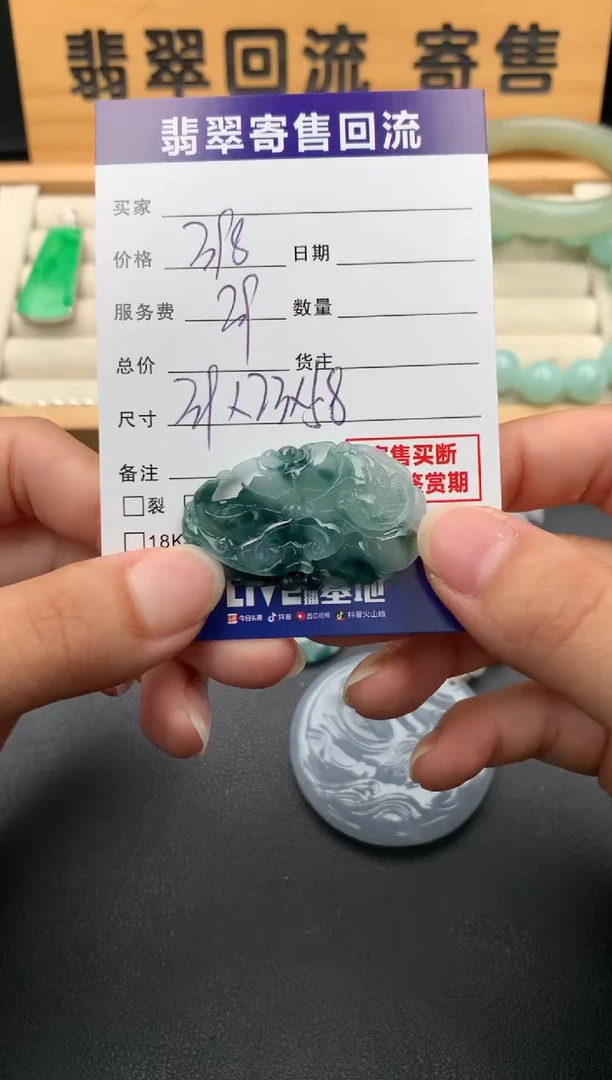 翡翠未镶嵌颈饰10140859