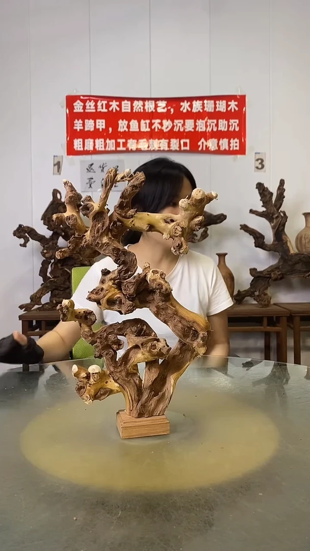 香榧木痴****童金丝红木   羊蹄甲