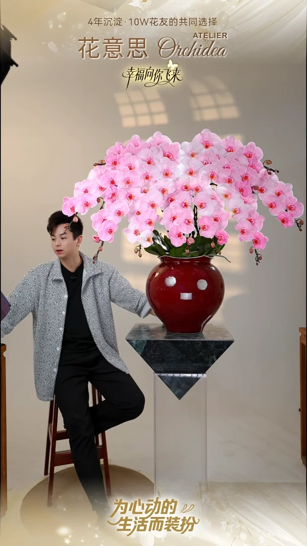 全部花朵033一物一拍蝴蝶兰艺术盆景