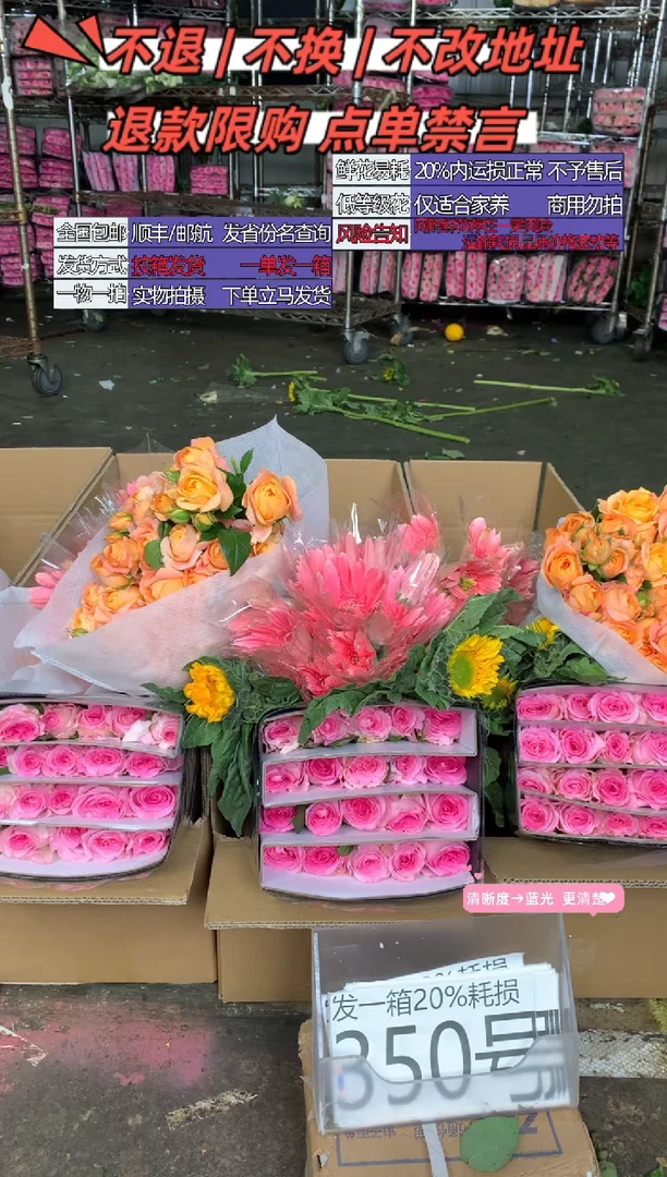 350号♥含20%耗损发一箱