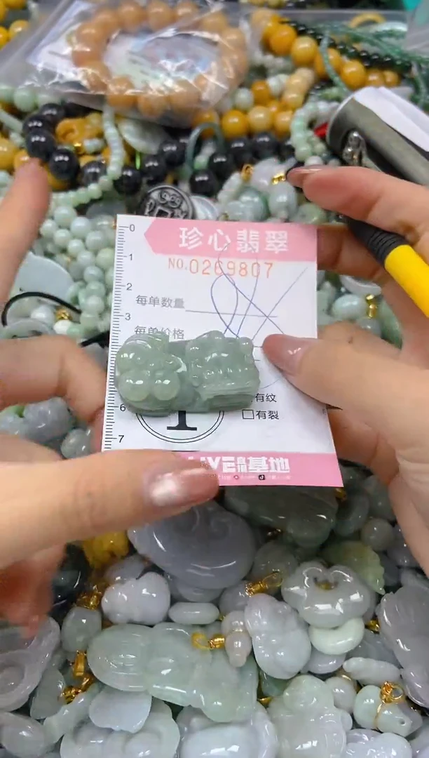 翡翠未镶嵌颈饰闪购0269807