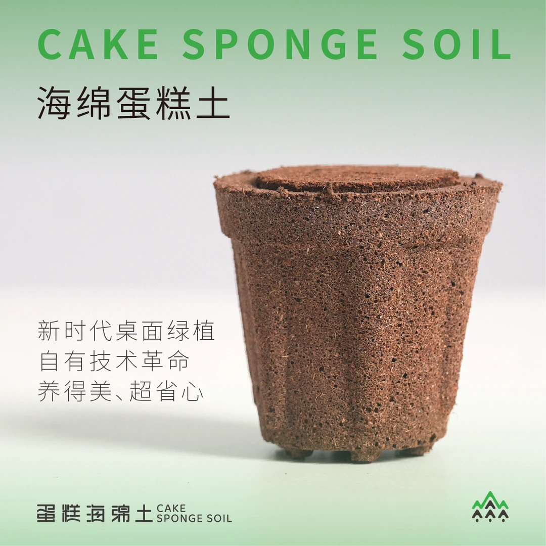 蛋糕海绵土绿植护理营养土防虫不用频繁加水不用加营养液不用换土