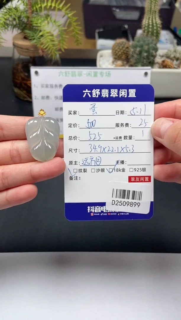 翡翠18K金镶嵌颈饰D2509899