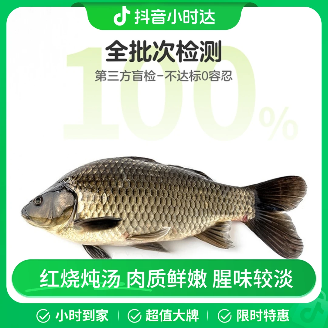 鲜活黄金鲫鱼1条 约400g