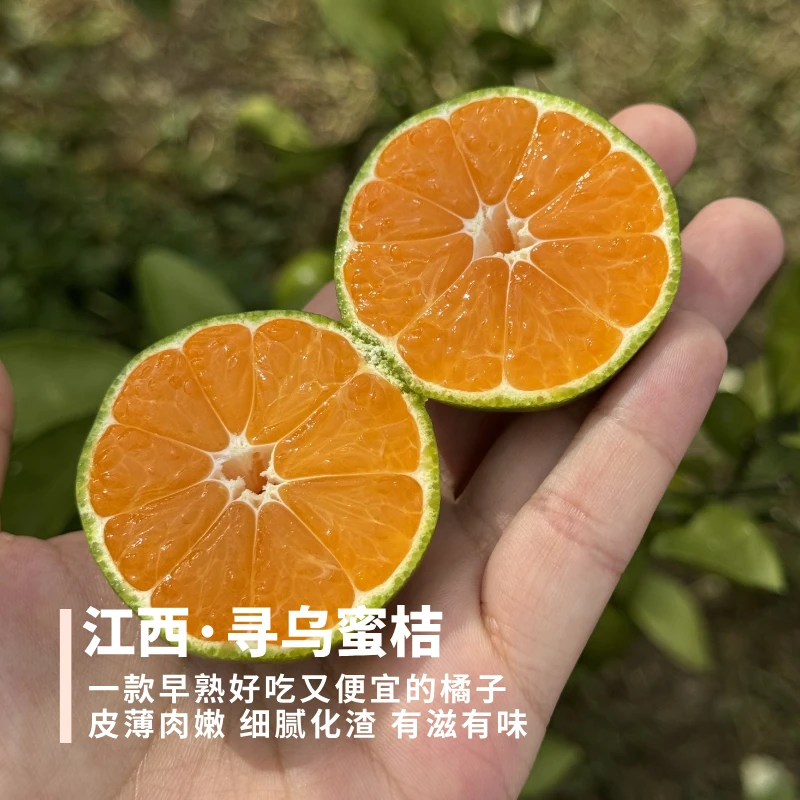 寻乌蜜桔 早熟小橘子 皮薄肉嫩细腻化渣酸甜有滋味 小果2.6斤顺丰