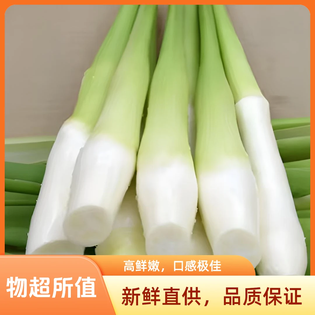 【茭白单品】南京本地茭白农家清炒肉丝当季时蔬江浙沪次日达一斤两斤装农家