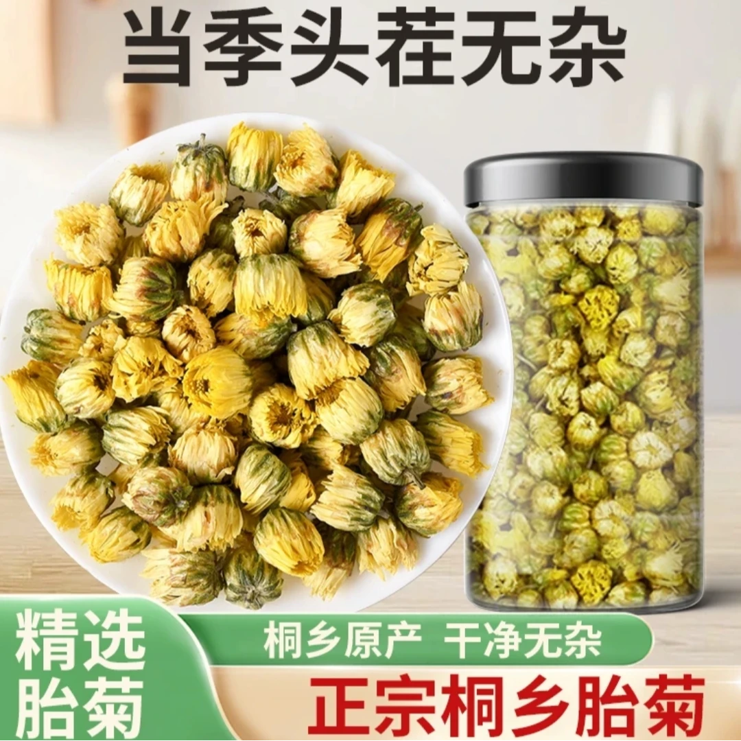 草本臣精选正宗桐乡优质新鲜饱满胎菊清香宜人可泡水喝的花草茶