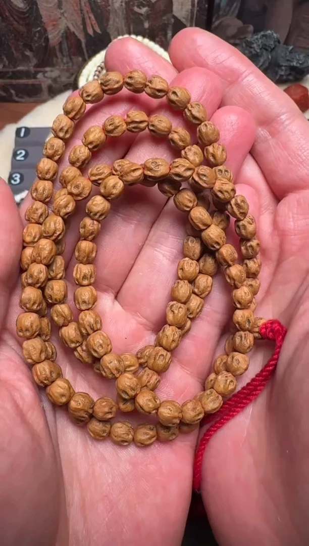 【闪购商品】柏香籽/百香籽手串百香籽手串