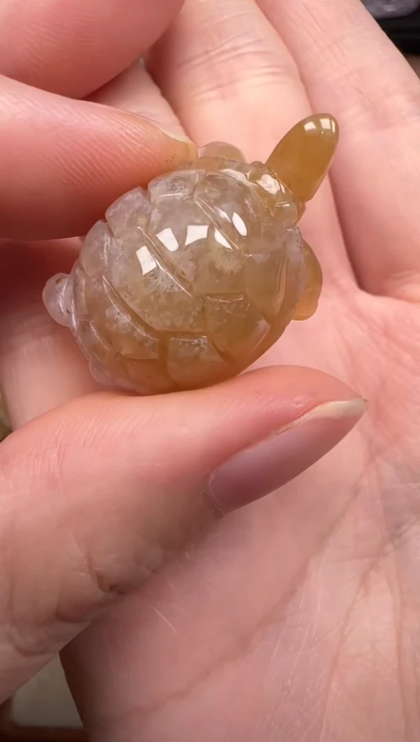 硅化珊瑚（珊瑚玉）未镶嵌颈饰215