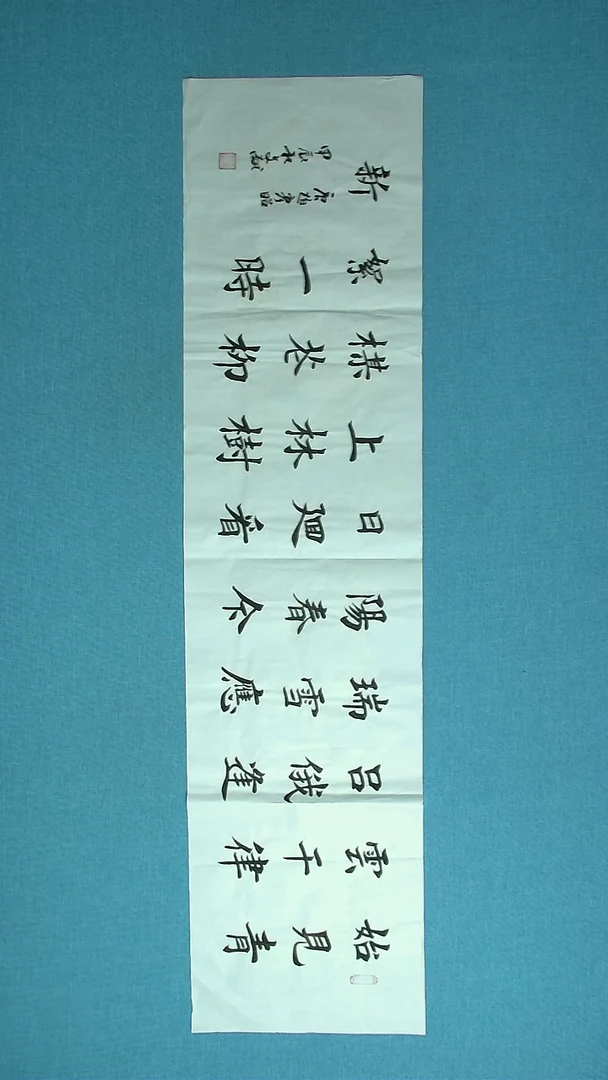 【闪购商品】书法007 捡漏王文献中书协138*34