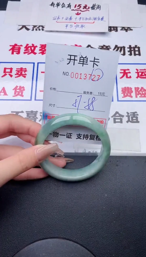 未镶嵌手镯翡翠27