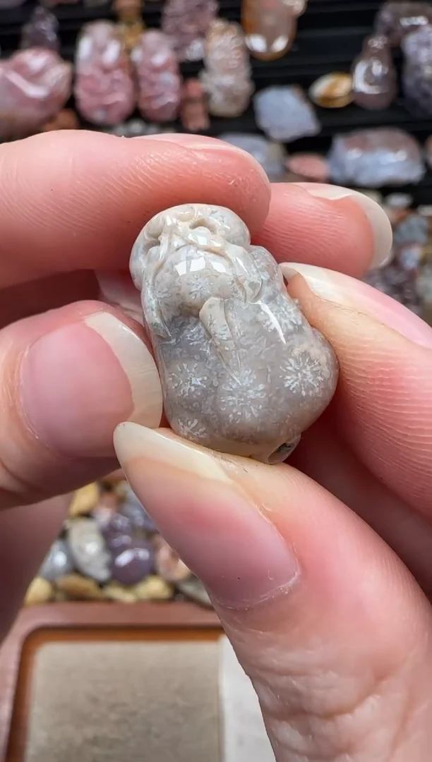 颈饰未镶嵌硅化珊瑚（珊瑚玉）864