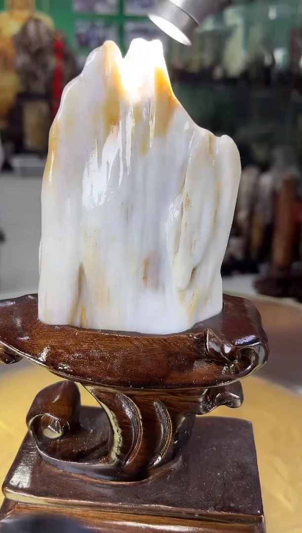 未镶嵌珠宝奇石硅化玉缅甸天然树化玉摆件