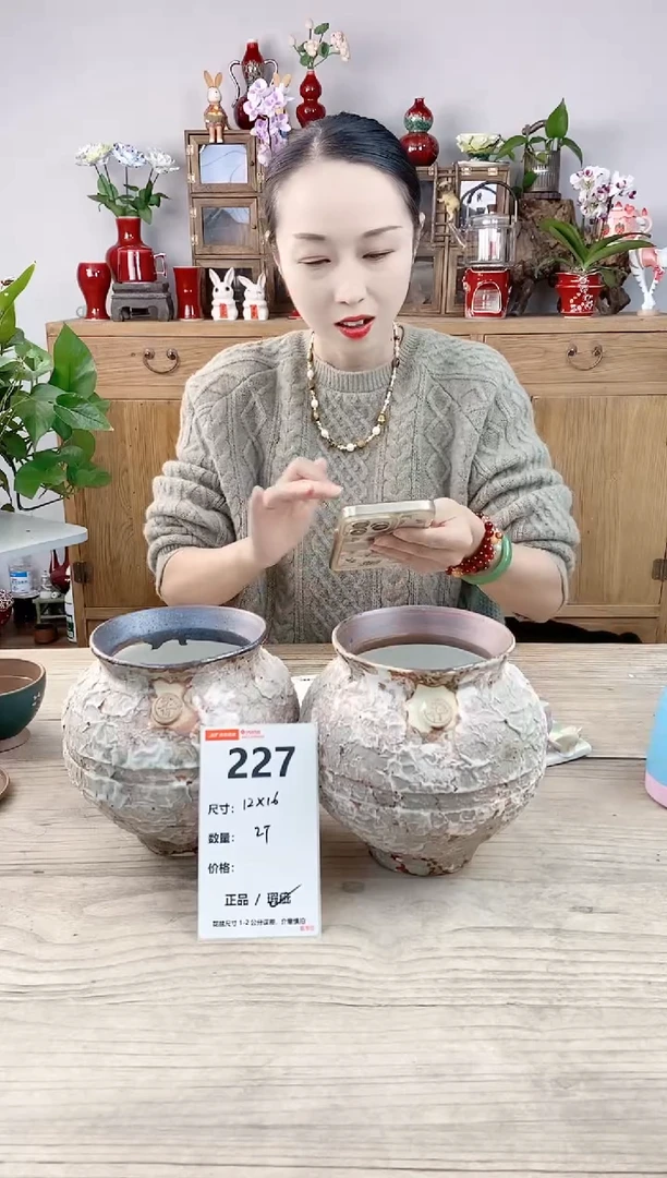 小玩子花盆直播编号227